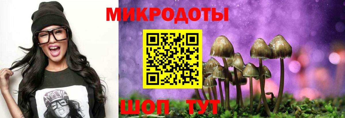 Псилоцибиновые грибы мицелий  Вход с VPN  Псилоцибиновые грибы ЛСД  Печора 